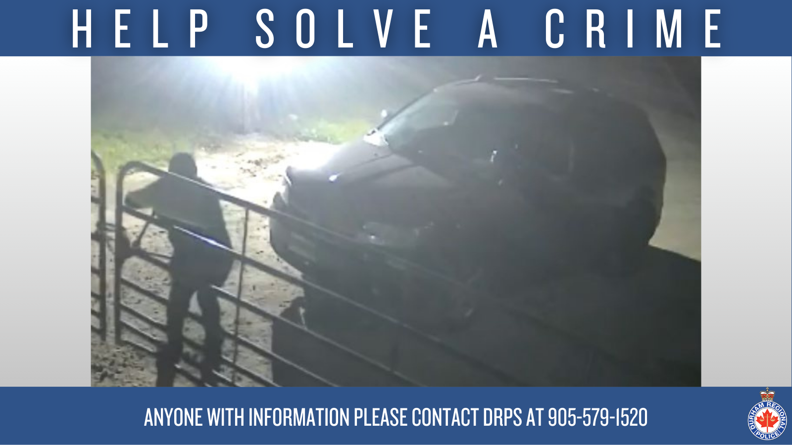 Reference image 1 for Police Search for Suspect After Break-and-Enter in Pickering
