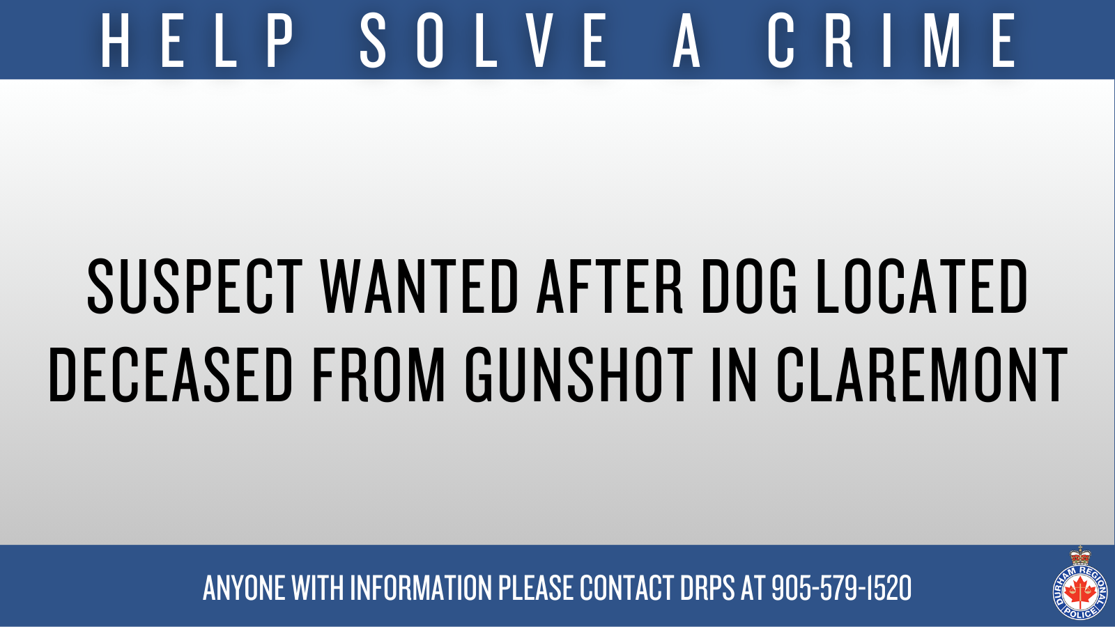 Reference image 1 for Suspect Wanted After Dog Located Deceased from Gunshot in Claremont